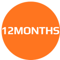 12 Months subscription