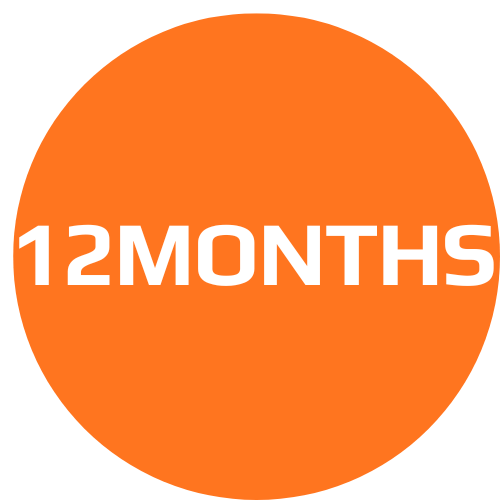 12 Months subscription