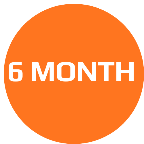 6 Months subscription